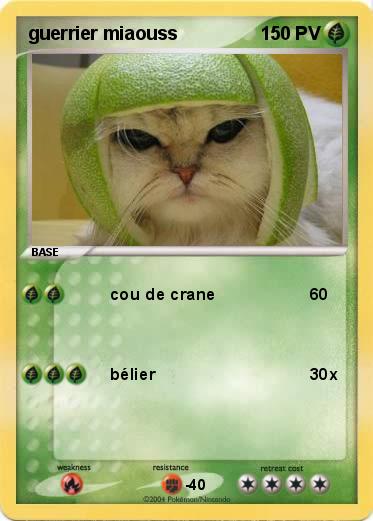 Pokemon guerrier miaouss