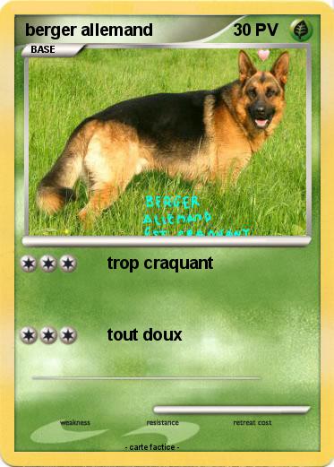 Pokemon berger allemand