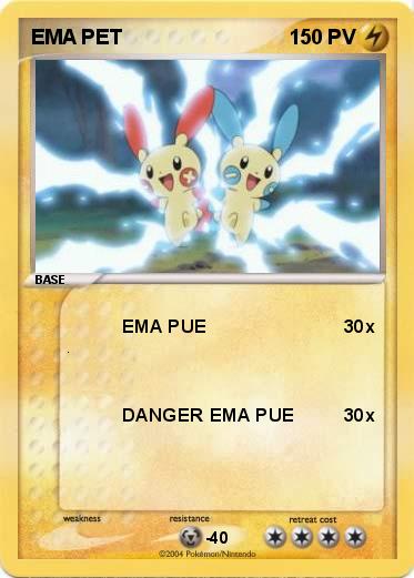 Pokemon EMA PET