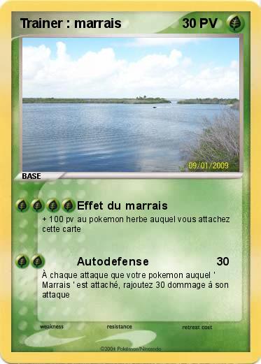 Pokemon Trainer : marrais    