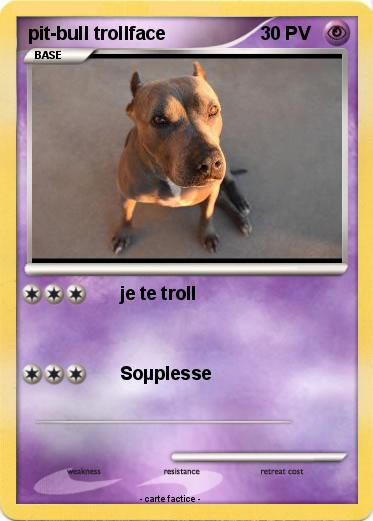 Pokemon pit-bull trollface