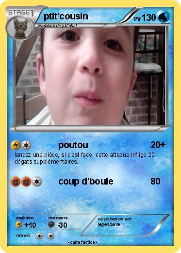 Pokemon ptit'cousin