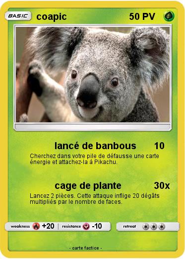 Pokemon coapic