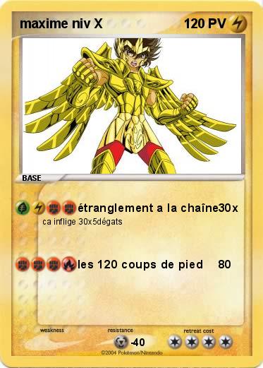 Pokemon maxime niv X