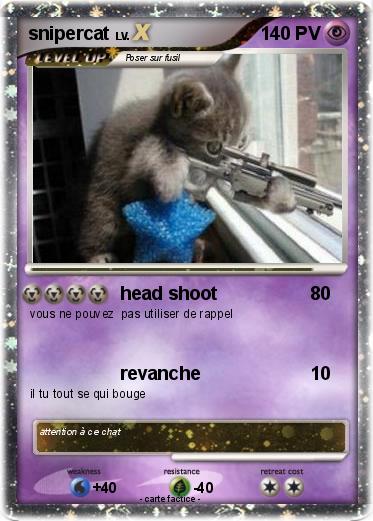 Pokemon snipercat