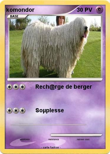 Pokemon komondor
