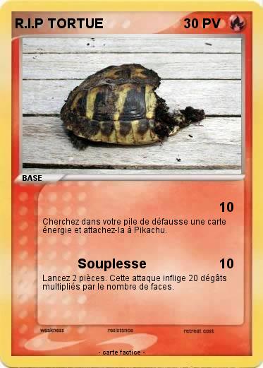 Pokemon R.I.P TORTUE