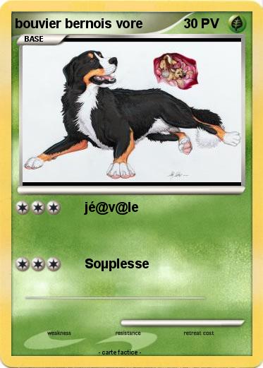 Pokemon bouvier bernois vore