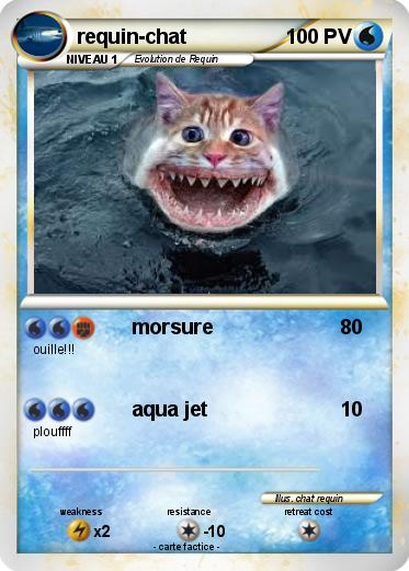 Pokemon requin-chat
