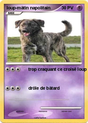 Pokemon loup-mâtin napolitain