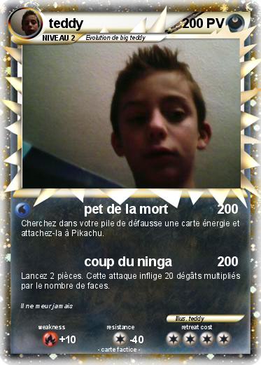 Pokemon teddy