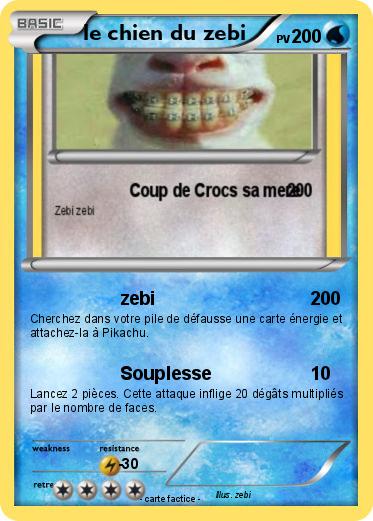 Pokemon le chien du zebi
