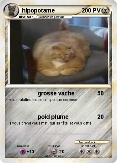 Pokemon hipopotame