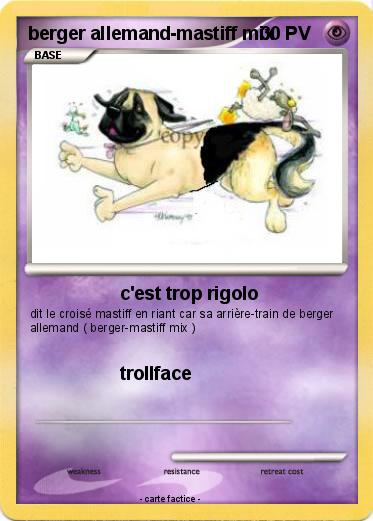 Pokemon berger allemand-mastiff mix