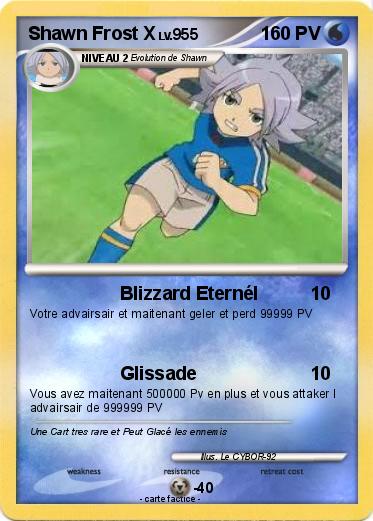 Pokemon Shawn Frost X