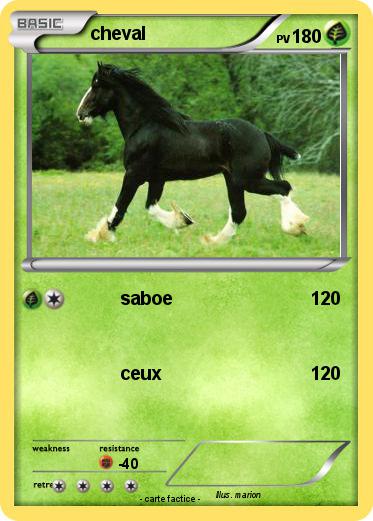 Pokemon cheval