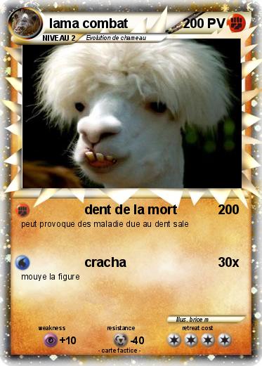 Pokemon lama combat