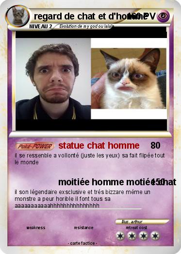 Pokemon regard de chat et d'homme