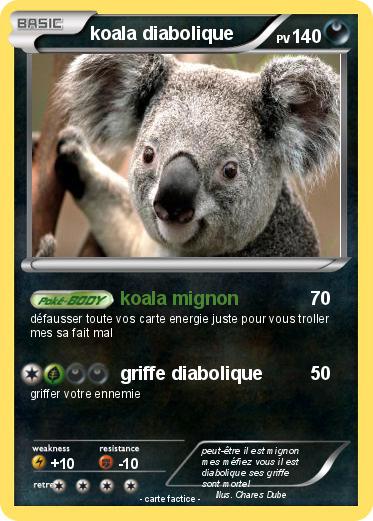 Pokemon koala diabolique