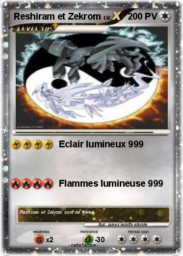 Pokemon Reshiram et Zekrom