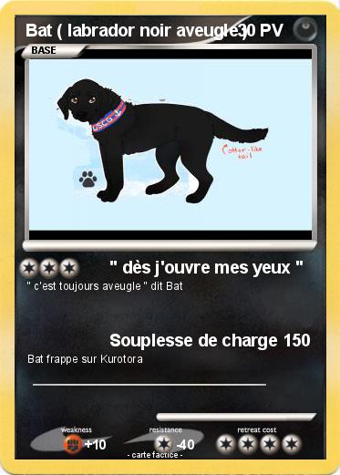 Pokemon Bat ( labrador noir aveugle )