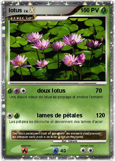 Pokemon lotus