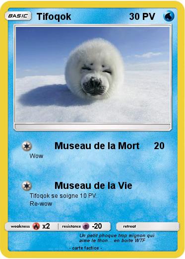 Pokemon Tifoqok