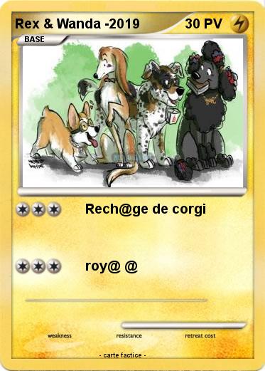 Pokemon Rex & Wanda -2019