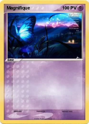 Pokemon Magnifique 