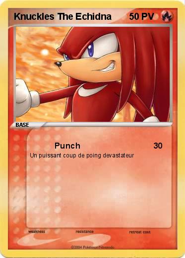 Pokemon Knuckles The Echidna