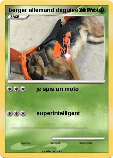 Pokemon berger allemand déguisé en moto