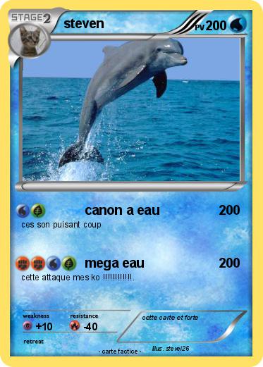 Pokemon steven
