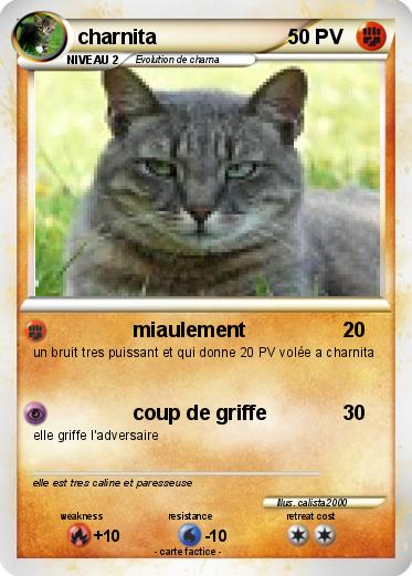 Pokemon charnita