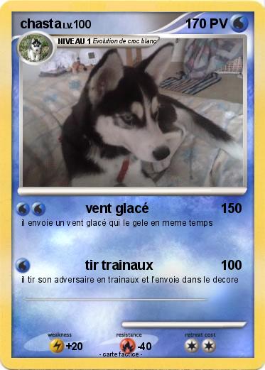 Pokemon chasta