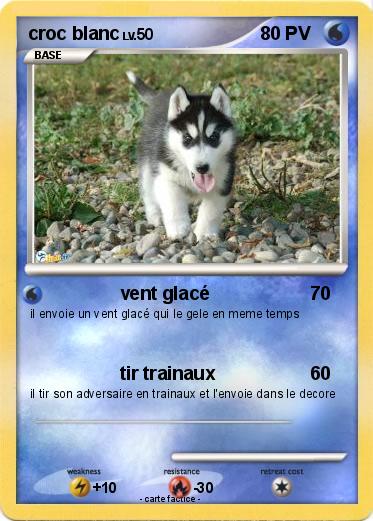 Pokemon croc blanc
