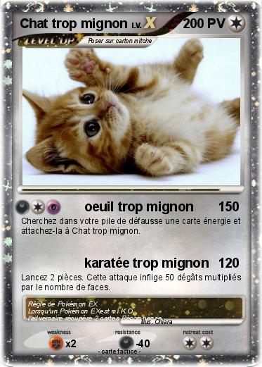 Pokemon Chat trop mignon