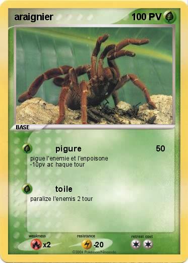 Pokemon araignier