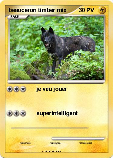 Pokemon beauceron timber mix