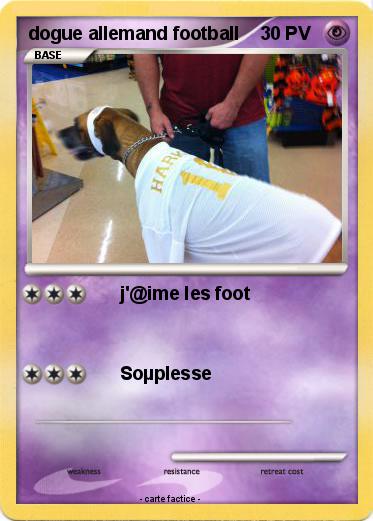 Pokemon dogue allemand football