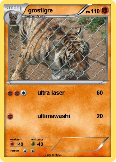 Pokemon grostigre