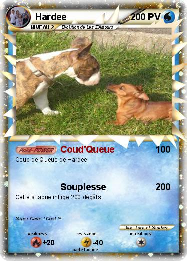 Pokemon Hardee