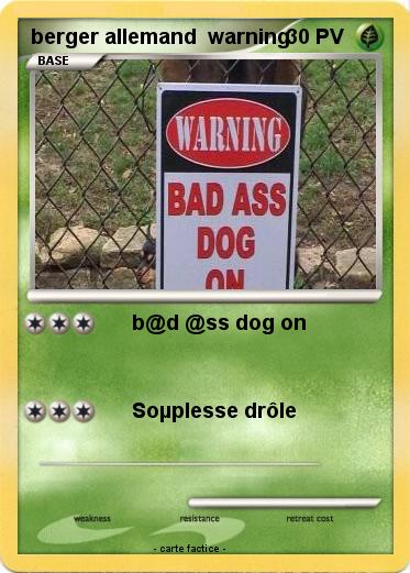 Pokemon berger allemand  warning