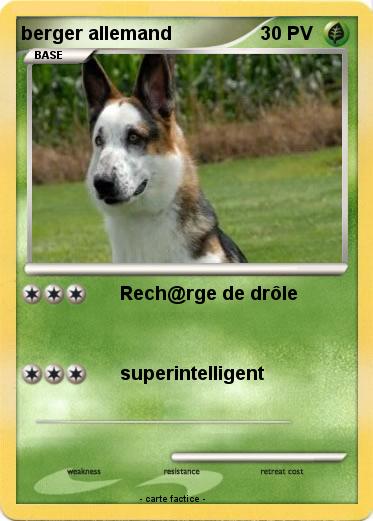 Pokemon berger allemand