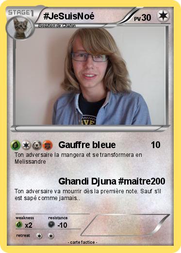 Pokemon #JeSuisNoé