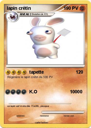 Pokemon lapin crétin