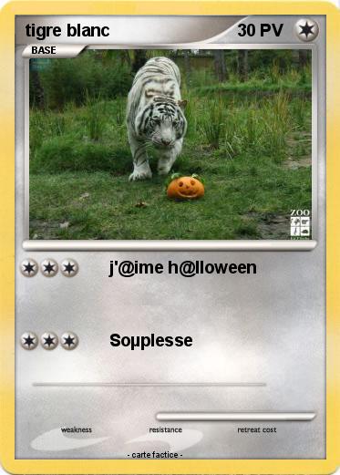 Pokemon tigre blanc