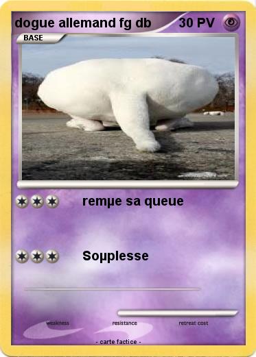 Pokemon dogue allemand fg db