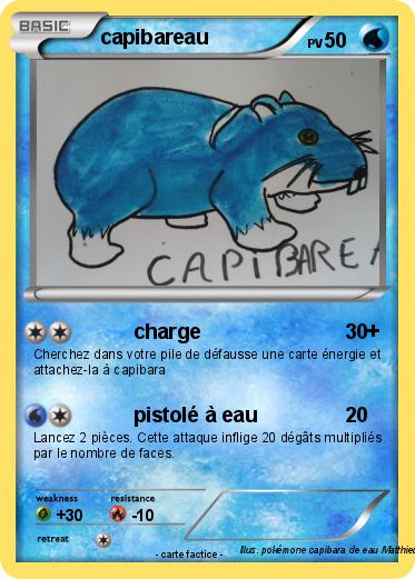 Pokemon capibareau