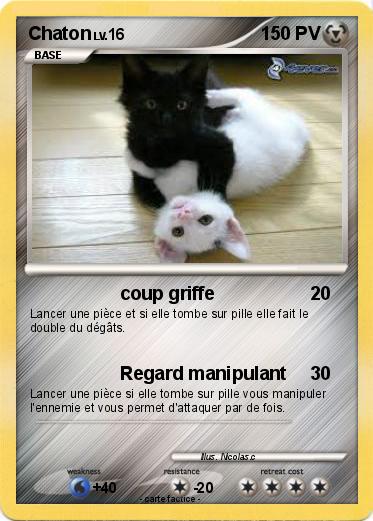 Pokemon Chaton