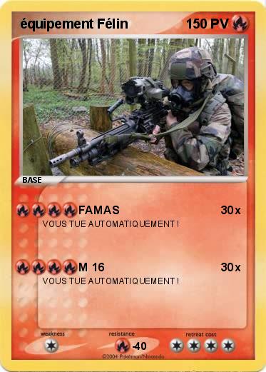 Pokemon équipement Félin